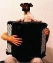 accordeon.jpg