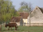 fondation du patrimoine.jpg